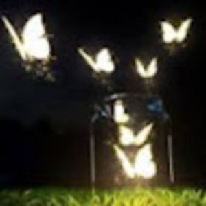 Meet your Posher, Dawn